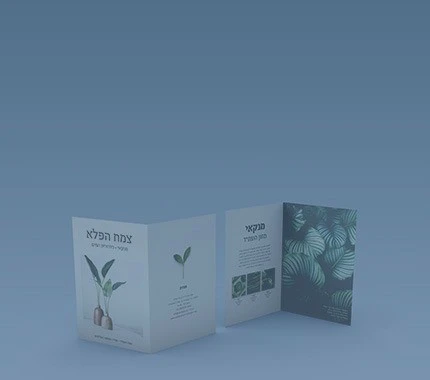פלייר קיפול אחד
